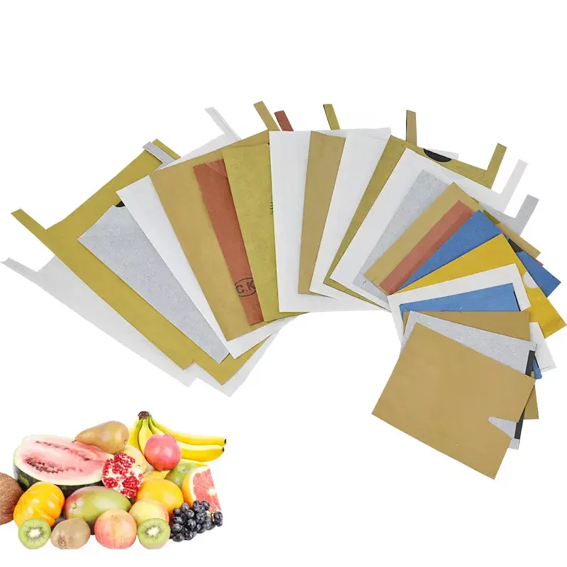 Sacs de plantation de papier
